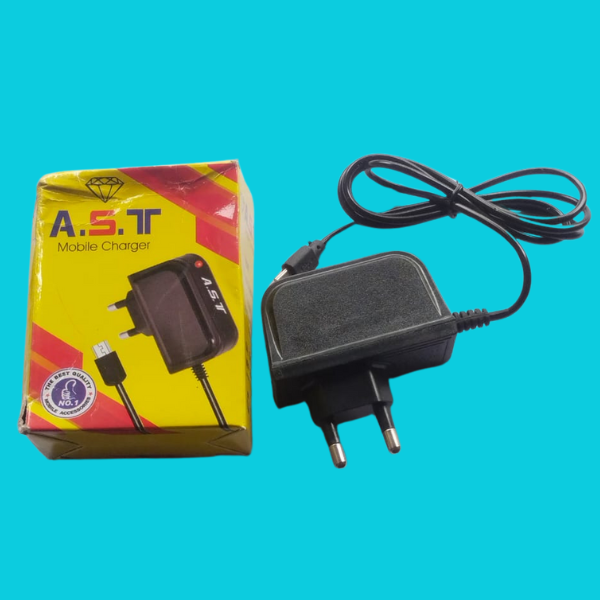 AST Mobile Charger